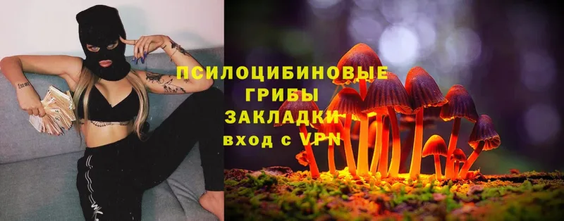 купить  цена  Азов  Псилоцибиновые грибы Psilocybine cubensis 